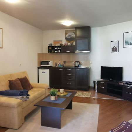 Sunny Studio Apartment - Few Steps From Gondola Bansko Ngoại thất bức ảnh