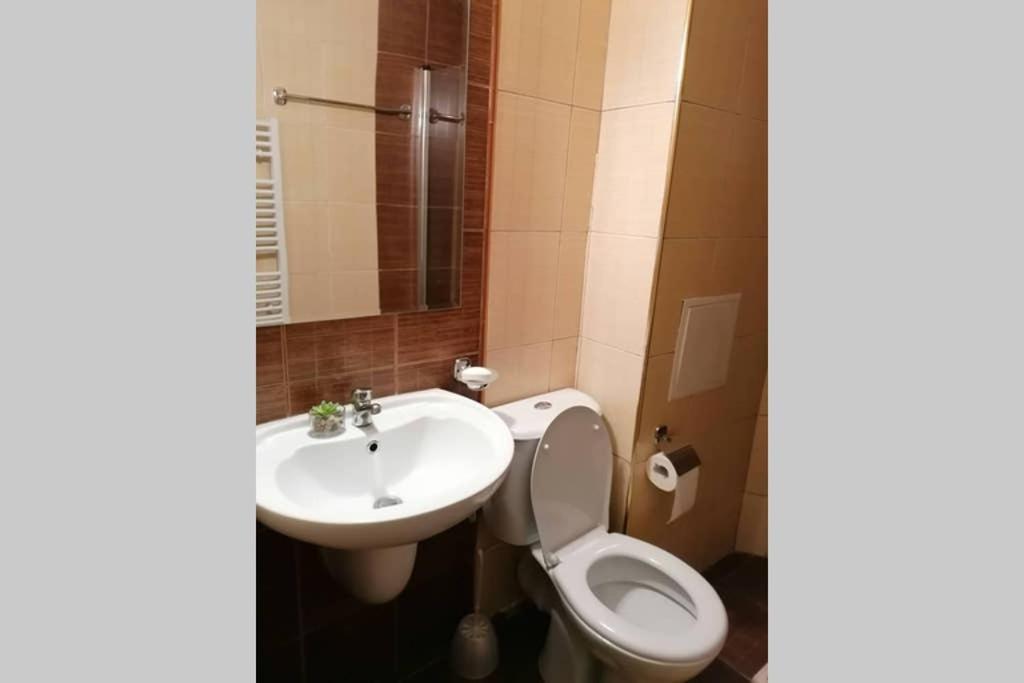 Sunny Studio Apartment - Few Steps From Gondola Bansko Ngoại thất bức ảnh
