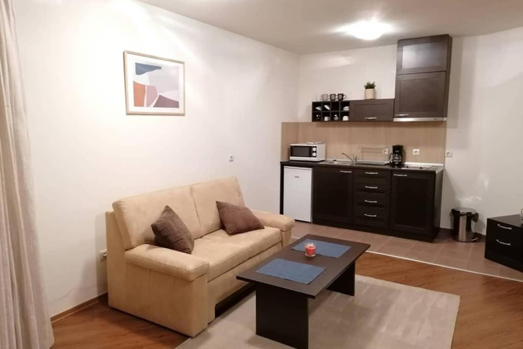 Sunny Studio Apartment - Few Steps From Gondola Bansko Ngoại thất bức ảnh