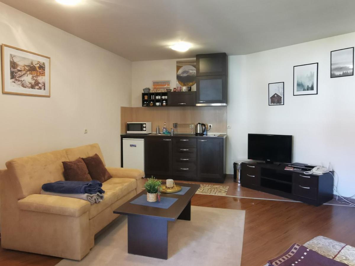 Sunny Studio Apartment - Few Steps From Gondola Bansko Ngoại thất bức ảnh